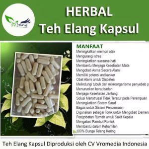 Herbal Teh Elang Kapsul Sehat